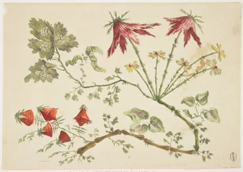 Ornement, Chinoiserie, Fleurs, 30 juin 1760